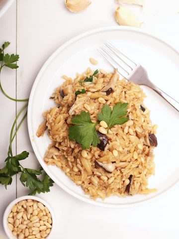 Rice Pilaf on a white plate
