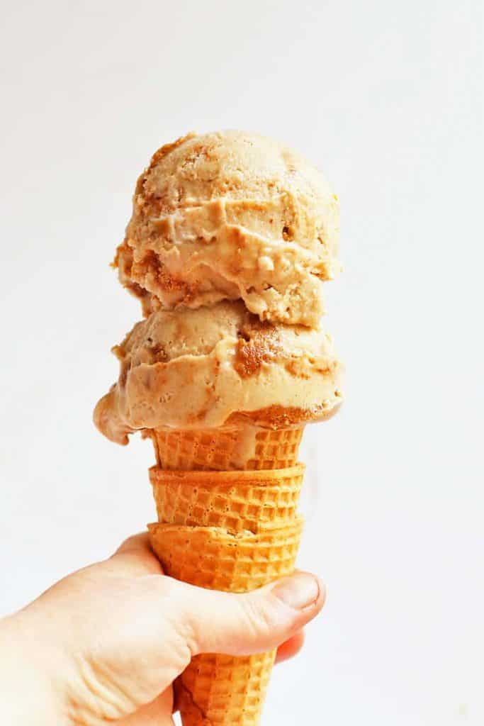 Vegan Snickerdoodle Ice Cream in a cone