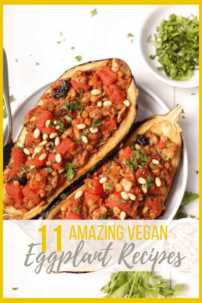 11 AMAZING Vegan Eggplant Recipes for eggplant lovers and skeptics alike. Everything from stuffed eggplant to eggplant curries, there is a recipe for everyone. Most recipes are gluten free or gluten free adaptable. 