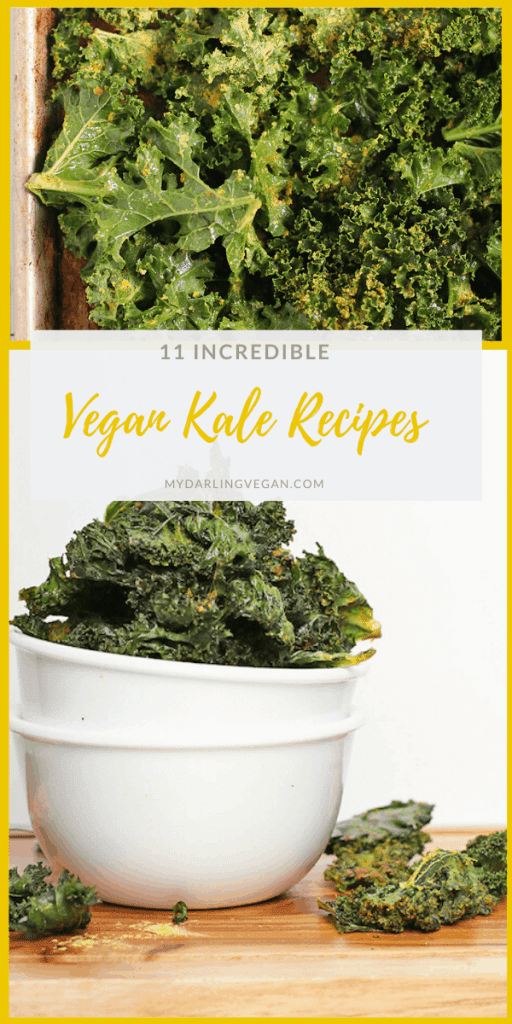 11 INCREDIBLE Vegan Kale Recipes for kale lovers and skeptics alike. Everything from kale salad to kale chips to green smoothies, there is a wholesome recipe for everyone. Most recipes are gluten-free or gluten-free adaptable. 