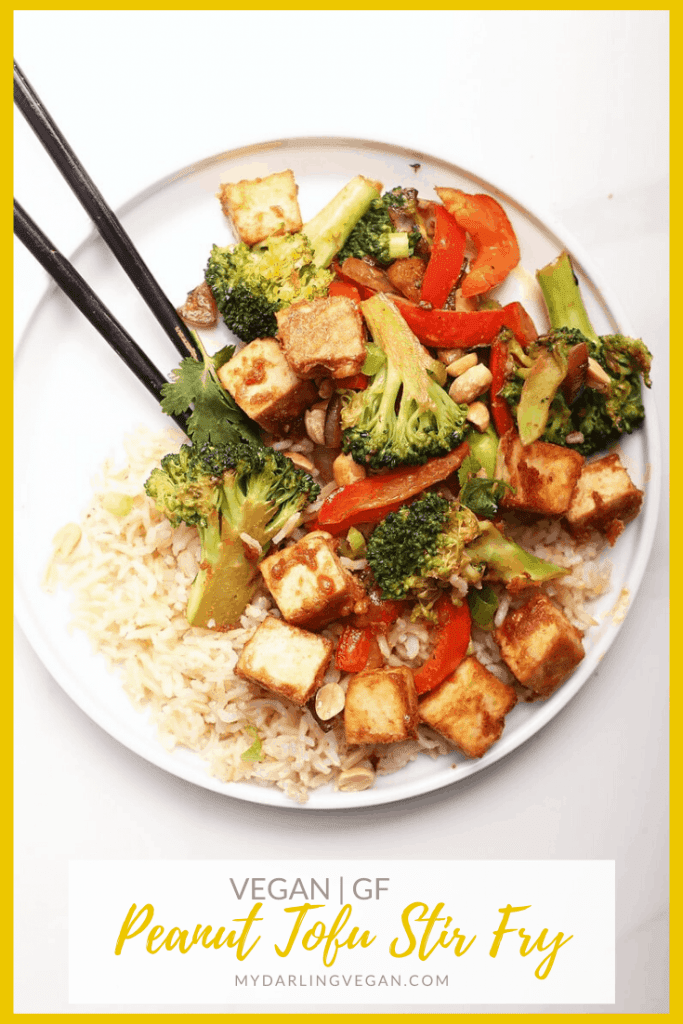 This Vegetable Stir Fry is made with sautéed broccoli and peppers and mixed with a Ginger Peanut Sauce for a delicious, hearty, and healthy tofu dinner recipe.